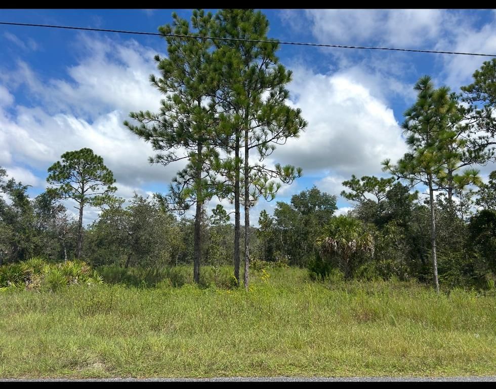 PAPERCRAFT, Brooksville, FL 34613