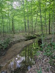 0 Bowker Rd, Charlotte, TN 37036