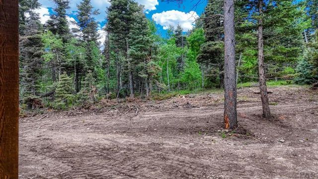 79 Terraza Abajo, Westcliffe, CO 81252