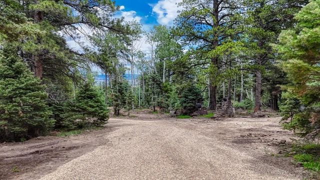 79 Terraza Abajo, Westcliffe, CO 81252