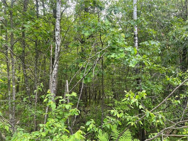 7968 County Road F, Danbury, WI 54830