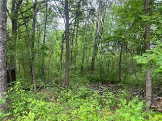 7968 County Road F, Danbury, WI 54830