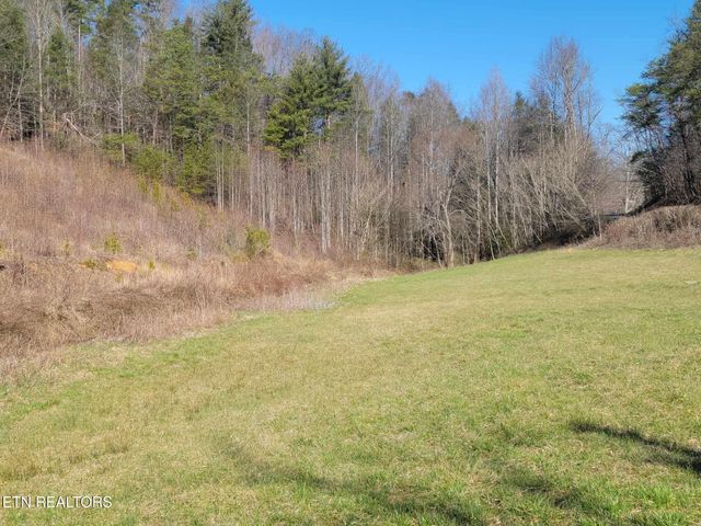 1622 Blue Mill Rd, Del Rio, TN 37727