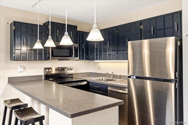 110 Evergreen Road 301, Dillon, CO 80435