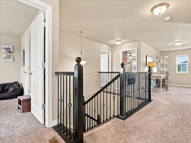 1298 Wild Basin Rd, Severance, CO 80550