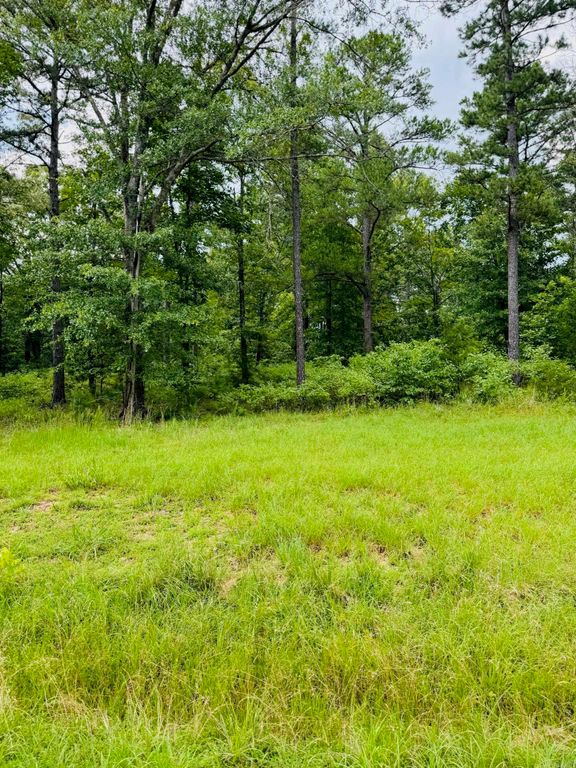 Lot 47 Primrose Creek, Heber Springs, AR 72543