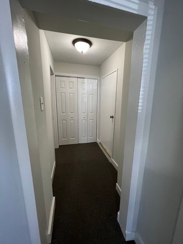 1151 W 19TH Street, Chicago, IL 60608