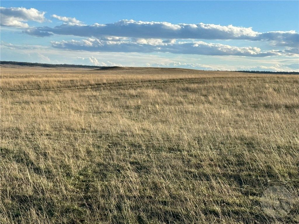 00 N Gage ROAD, Roundup, MT 59072 photo 10