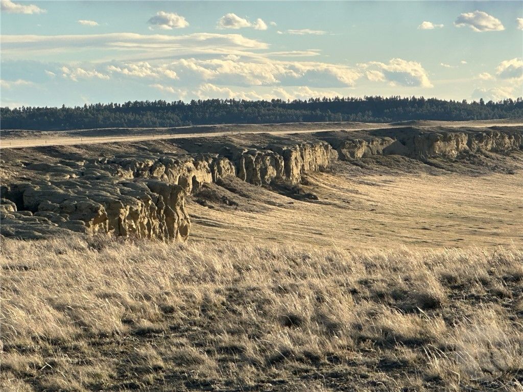 00 N Gage ROAD, Roundup, MT 59072 photo 18