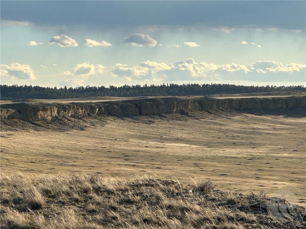 00 N Gage ROAD, Roundup, MT 59072 photo 19