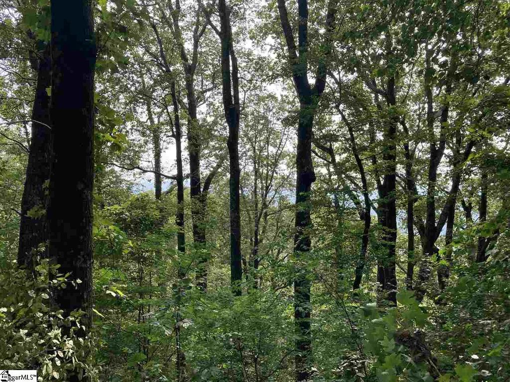 Boulder Lookout Drive Lot 151, Landrum, SC 29356
