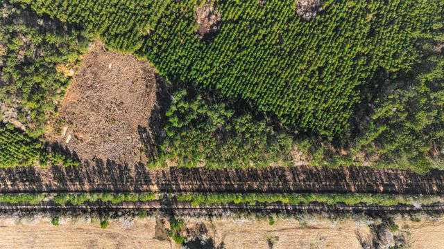 1495 County Road 2200, Cleveland, TX 77327