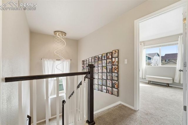 2614 Equine Court, Colorado Springs, CO 80922