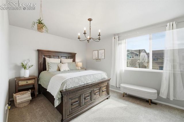 2614 Equine Court, Colorado Springs, CO 80922