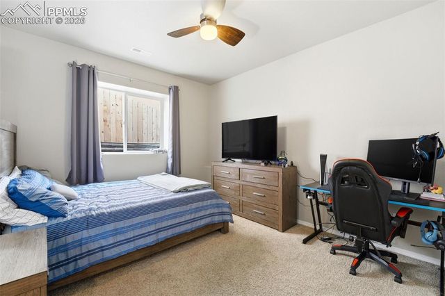 2614 Equine Court, Colorado Springs, CO 80922