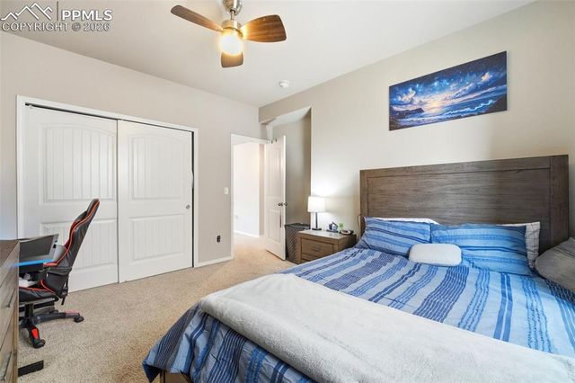 2614 Equine Court, Colorado Springs, CO 80922