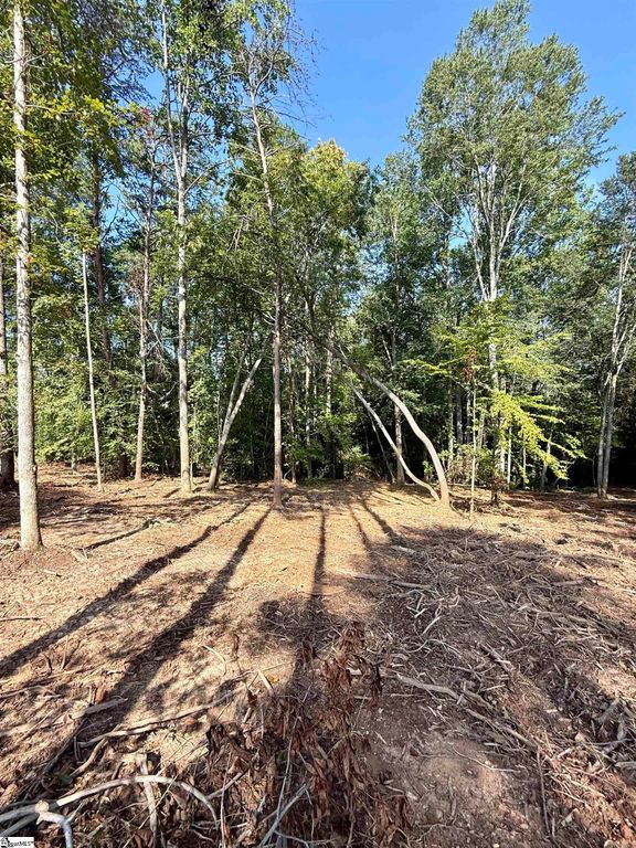 0 Thompson Road Lot 3, Greer, SC 29651
