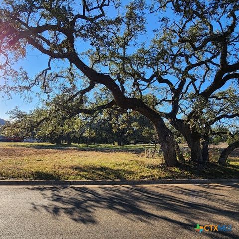 27215 Park Loop Road, New Braunfels, TX 78132