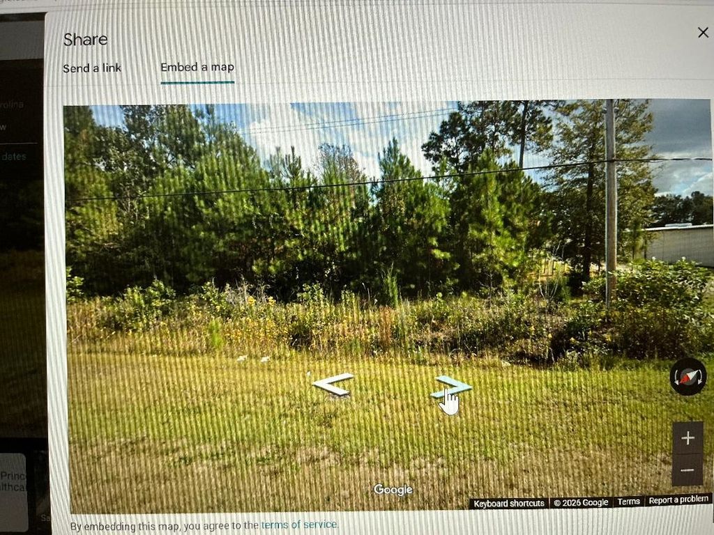 LOT 11-TBD Old Charleston Rd., Georgetown, SC 29440 — photo 3