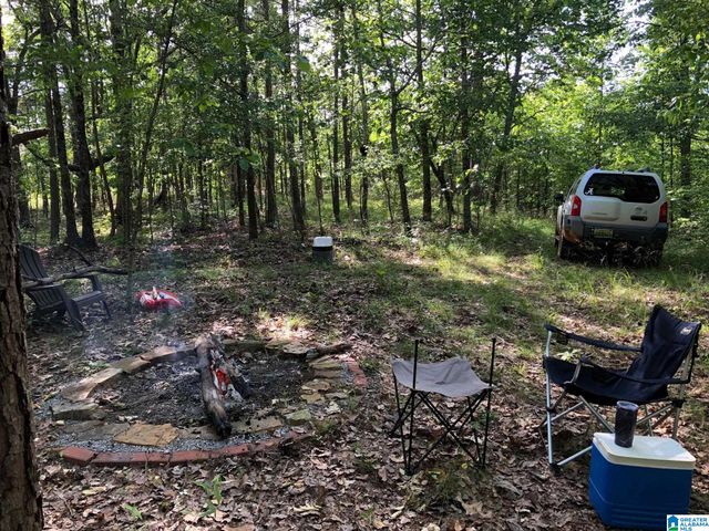 00 US HWY 231, Ragland, AL 35131