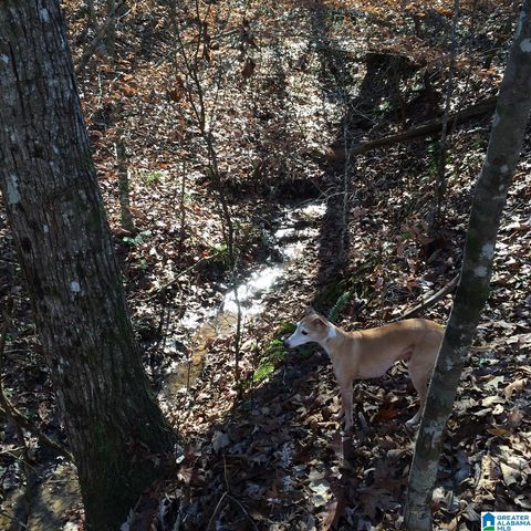 00 US HWY 231, Ragland, AL 35131