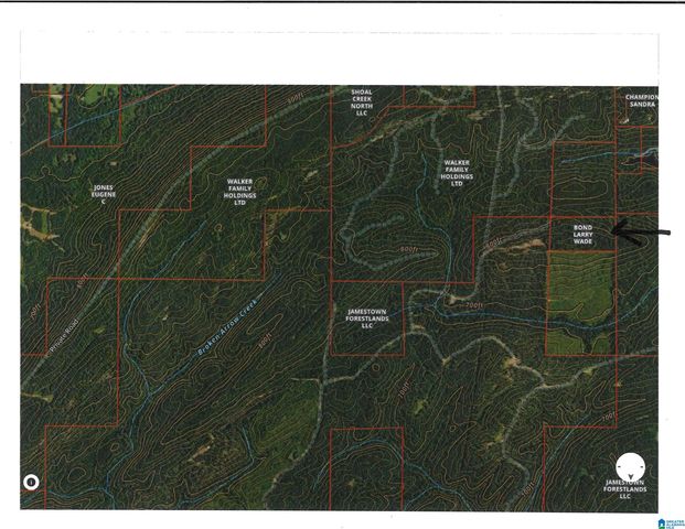 00 US HWY 231, Ragland, AL 35131