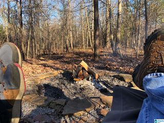 00 US HWY 231, Ragland, AL 35131