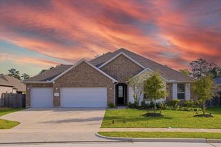 31122 Gullwing Manor Drive, Tomball, TX 77375