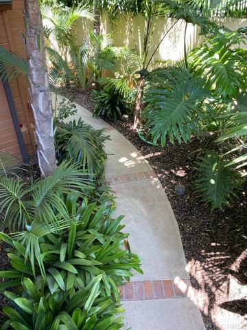 714 PASSIFLORA Avenue 1, Encinitas, CA 92024