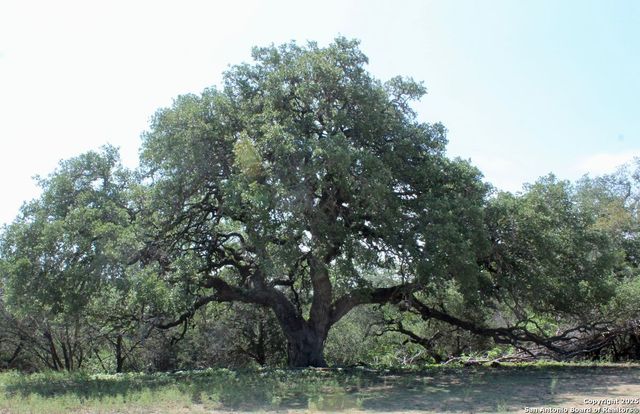 149 Bloodhound, Sisterdale, TX 78006