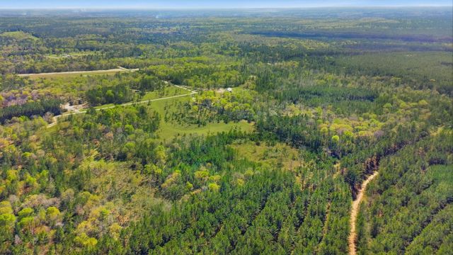 401 Big Buck Drive, Cleveland, TX 77328