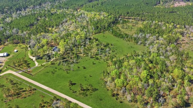 401 Big Buck Drive, Cleveland, TX 77328