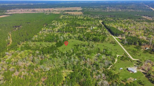 401 Big Buck Drive, Cleveland, TX 77328