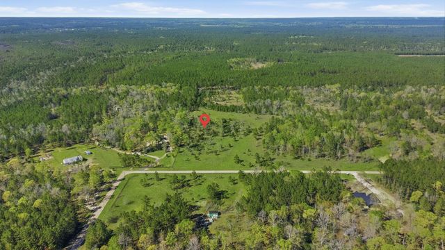 401 Big Buck Drive, Cleveland, TX 77328