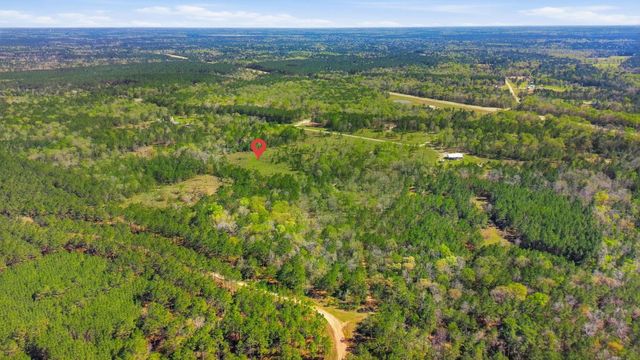 401 Big Buck Drive, Cleveland, TX 77328