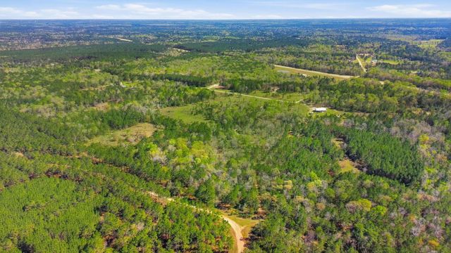 401 Big Buck Drive, Cleveland, TX 77328