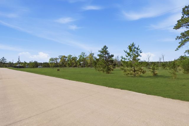 401 Big Buck Drive, Cleveland, TX 77328