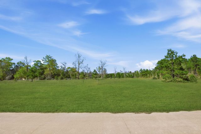 401 Big Buck Drive, Cleveland, TX 77328