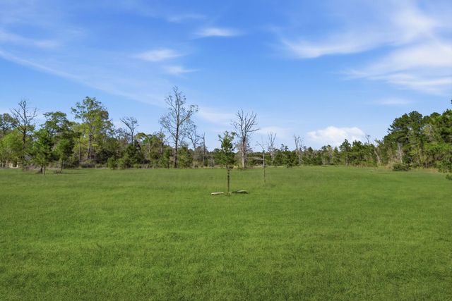 401 Big Buck Drive, Cleveland, TX 77328