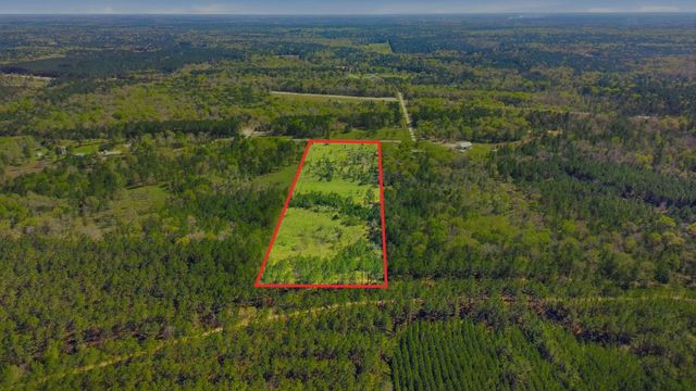 401 Big Buck Drive, Cleveland, TX 77328