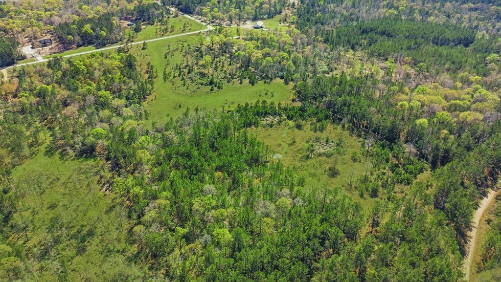 401 Big Buck Drive, Cleveland, TX 77328