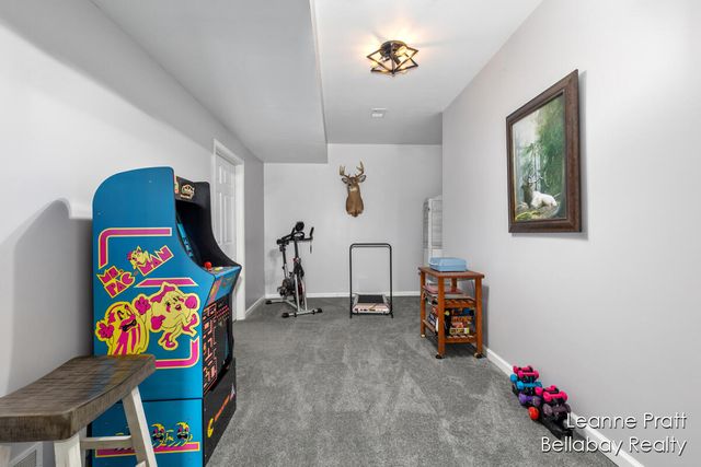 6525 Woods Trail Drive, Delton, MI 49046