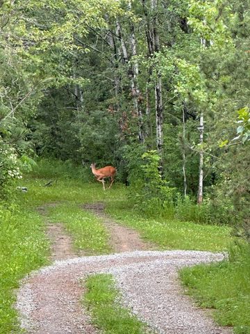 5834 County 4 NE, Remer, MN 56672