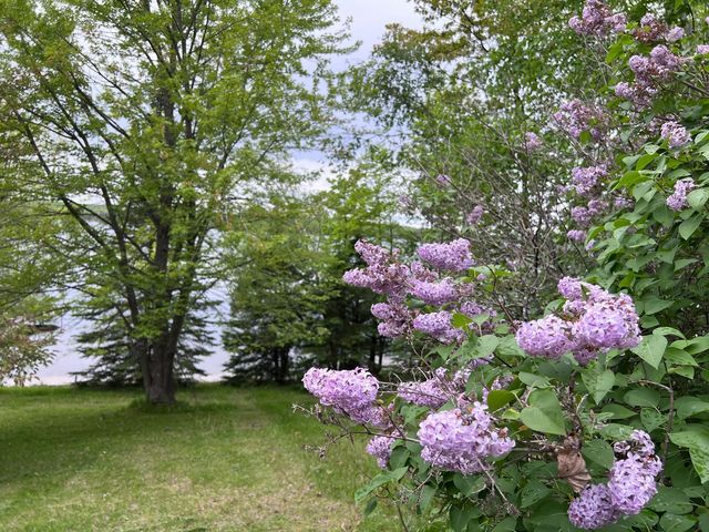 5834 County 4 NE, Remer, MN 56672