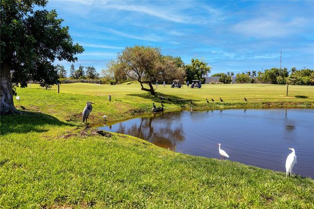 6113 PALMA DEL MAR BOULEVARD S 221, St Petersburg, FL 33715