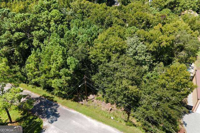 LOT 14B Dufour Road, St. Marys, GA 31558