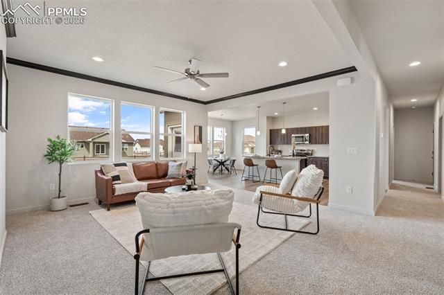 729 E Campbell Lane, Pueblo West, CO 81007