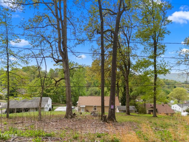 325 Mullins Street, Kingsport, TN 37665