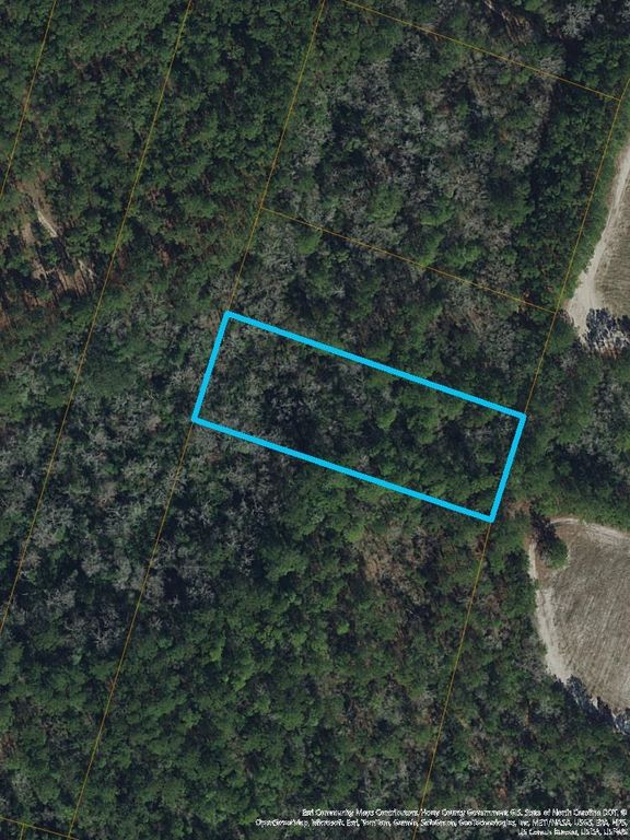 S Mill Swamp Rd., Longs, SC 29568 — exterior