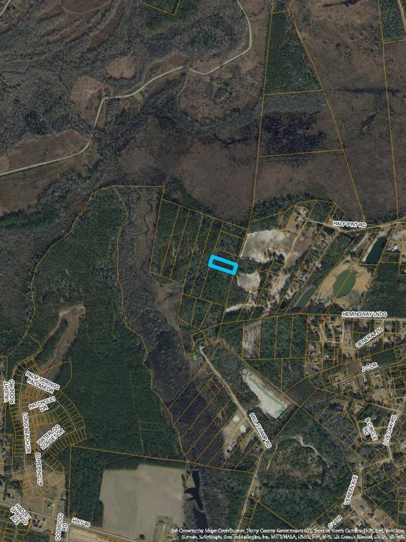 S Mill Swamp Rd., Longs, SC 29568 — photo 2